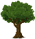 Baum Baum